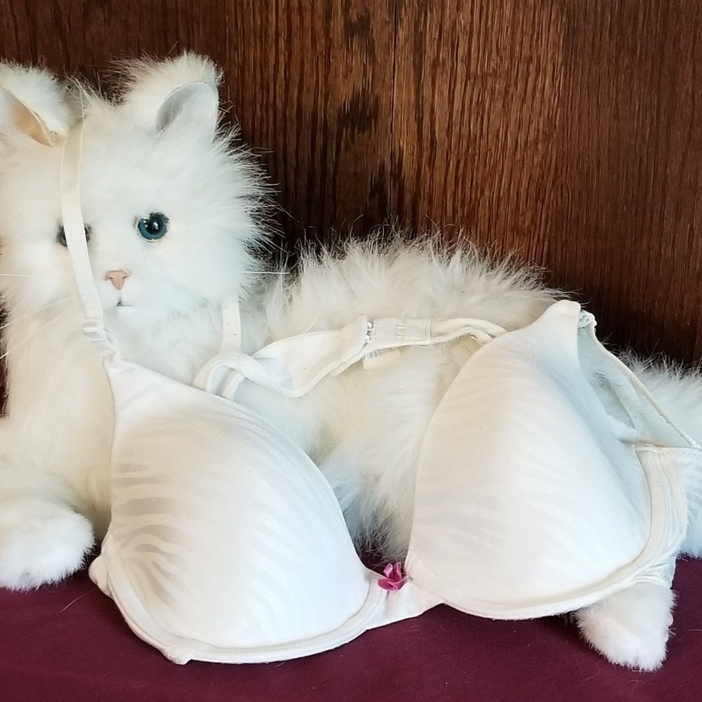 Sweet nothings by Maidenform white bra